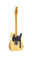 GUITARRA SEIZI RELIC SAITAMA CASE RELIC ALPINE_11922.png